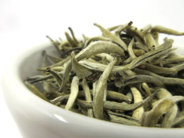 White Silver Needle